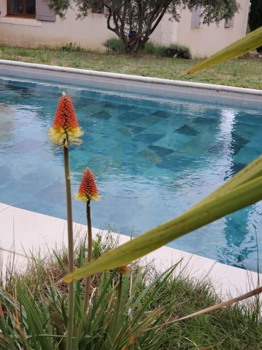 Villa Reve En Luberon Lauris Exterior foto