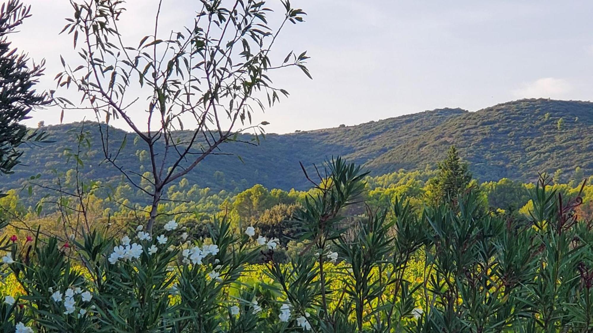 Villa Reve En Luberon Lauris Exterior foto